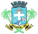 Prefeitura de Bocaiúva
