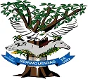 Prefeitura de Seringueiras