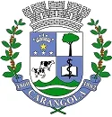 SEMASA - Serviço Municipal de Saneamento Básico e Infraestrutura de Carangola